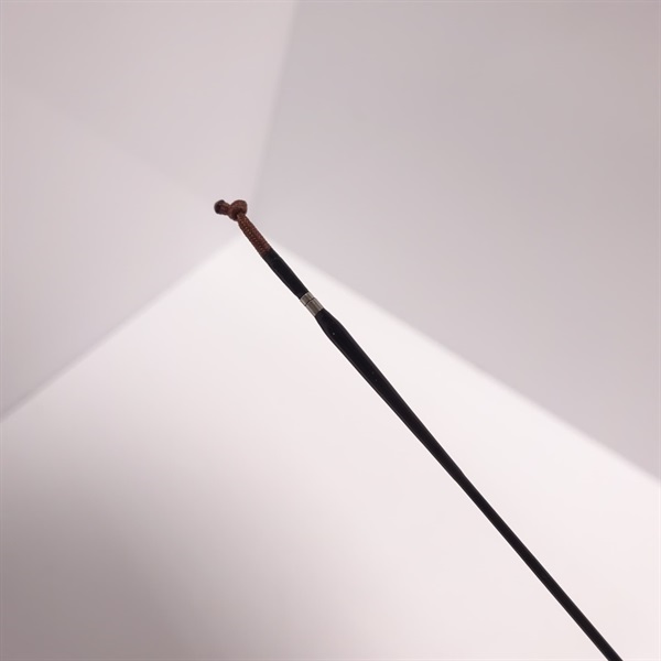 ２２枯法師２１・Ｎ